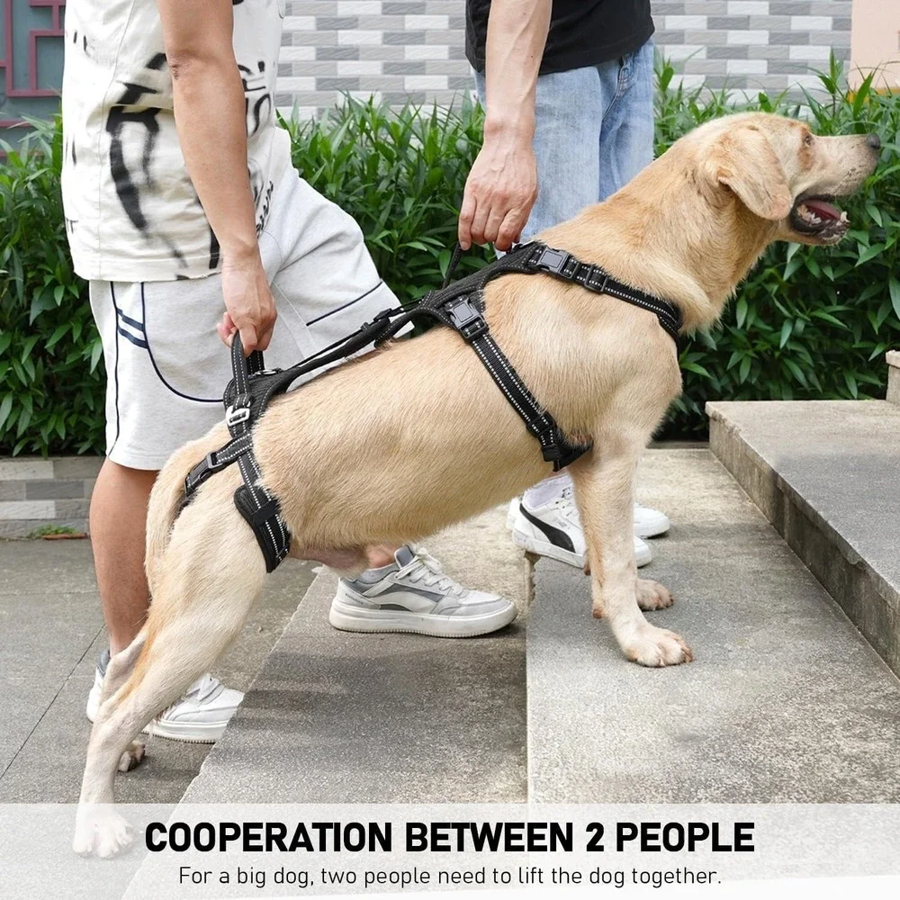 COODEO Small Dog Lift Harness‎ Polyester Rear Leg Support Rehab Sling Black
